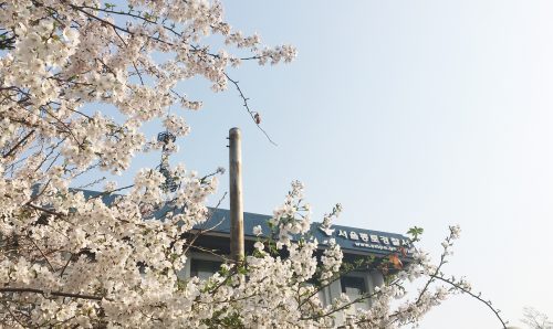 앰네스티 사무국의 3월