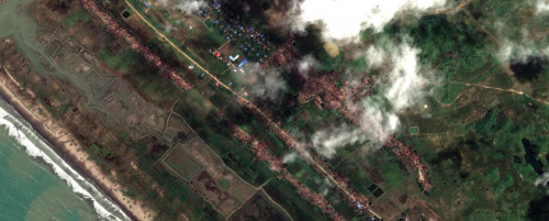 미얀마: 집단 매장지 인정한 군부, 로힝야에 대한 비사법적 살인 드러나