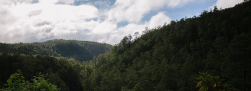 아메리카: 환경 인권활동가 보호하는 조약 체결, 중대한 진전