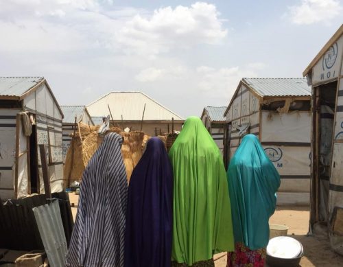 나이지리아: 구조 위해 파견된 민병대가 굶주린 여성들 강간