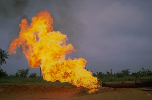국제앰네스티, 화석연료기업에 대한 투자 철회 결정