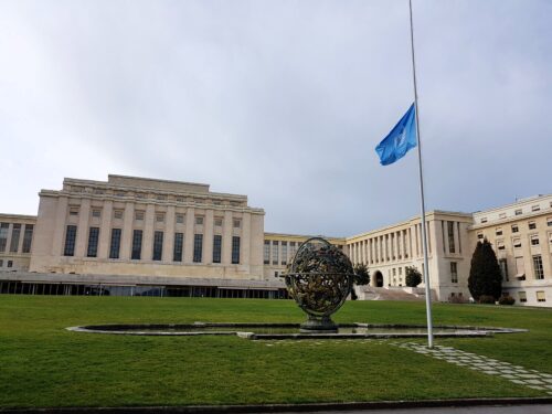 북한인권: 2024년 유엔 북한인권 특별보고관과의 상호 대화 – 국제앰네스티 성명