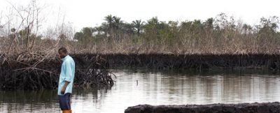 나이지리아: 계속되는 기름유출로 황폐화된 니제르델타