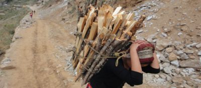 스물 네 살에 경험한 자궁탈출증, 코필라 이야기