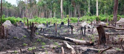 그 집은 내 삶이었다: 대대손손 살던 숲에서 쫓겨난 선주민