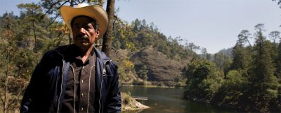 멕시코: 불법 벌목에 반대하던 활동가 석방해야