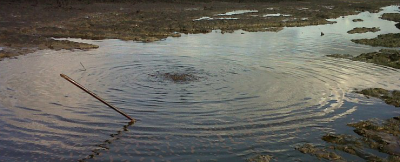 나이지리아: 니제르 델타 기름유출 조사 “완전 실패작”